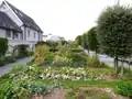 Blick in den Gemüsegarten (Ende August)