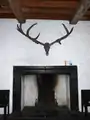 Schädel eines Irischen Riesenhirschs über dem Kamin aus Kilkenny-Marmor im Phelan Room