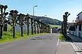 In Oberfeulen
