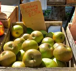 Roxbury Russet