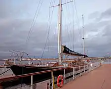 Bloodhound in Leith, 2011