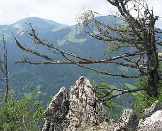 Rosenbachsattel von Südosten