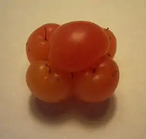 Kratzbeeren