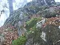 Ruine Alt-Gutrat: Aufstieg zum früheren Bergfried