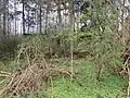 Schuppen auf dem Gelände