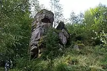 Ruine der Burg Salm bei La Broque (Vogesen)