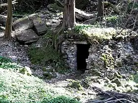 Reste der Dobbelsteinmühle