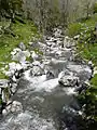 Der Bach ruisseau de l’Aguila