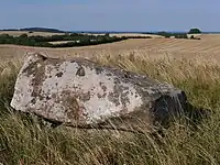Runddysse vom Galgebjerg