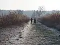Rundweg um den Hüttensee