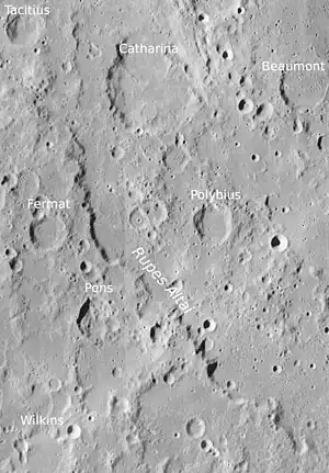 Polybius (Mitte rechts) mit Rupes Altai (LROC-WAC)
