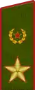 Dienstuniformseit 2013