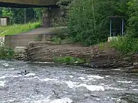 Blick in Streichrichtung ans rechte Muldenufer. Deutlich wird das Fallen in Richtung Zwickauer Stadtzentrum.