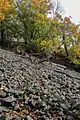 Basaltblockfeld am Hangbergeich des Berges