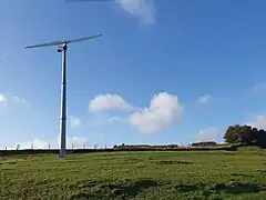 Zweiflügler