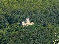Burgruine