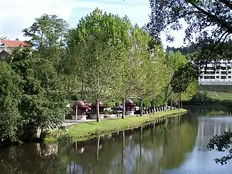 Flussufer am Rio Vouga