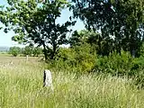 Menhir Bargueyrac