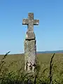 Menhir der Christianisierung