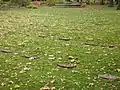 Über 500 Bombenopfer auf Südfriedhof in Halle