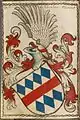 Wappen im Scheiberschen Wappenbuch