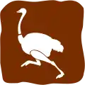A12-6: Straußenzucht*