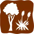 A4-3: Botanischer Garten*