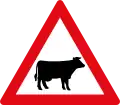 W310: Viehtrieb – Rinder