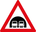 W319: Tunnel*