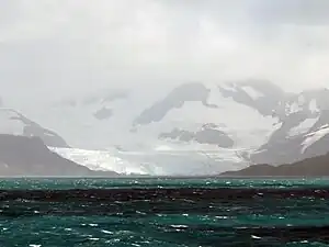 Mündung des Crean-Gletschers in die Antarctic Bay