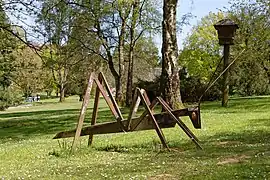 Grashüpfer