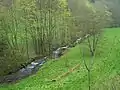 Blick ins Trusetal