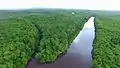 Oropouche Swamp