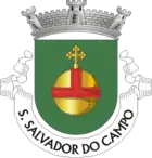 Wappen von São Salvador do Campo