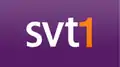 Das vom 25. August 2008 bis 4. März 2012 genutzte Logo