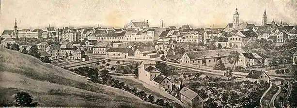 Blick vom  Kiliansberg über das Tal des Marienbachs auf die Altstadt.Abbildung von 1915