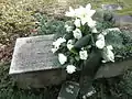 Gedenkstein auf Friedhof Saalfeld für 238 Bombenopfer