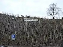 Sommer und Winter am Weinberg „Saarburger Rausch“