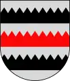Wappen von Saarijärvi
