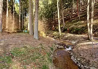 Zufluss Saarscher Bach