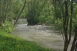 Bei Sachsenheim