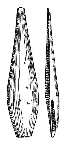Knochenspitze mit gespaltener Basis