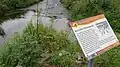 Sagenhafter Weg in Ruderatshofen