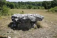 Dolmen von La Palein