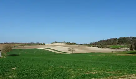 Felder bei Les Âges unterlagert von Santonium