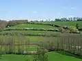 Typische Bocage-Landschaft