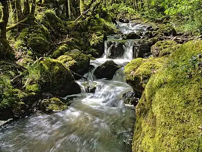 Kaskaden im Ruisseau de Porte-Étoupe