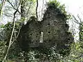 Burgruine