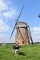 Windmühle