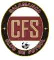 Logo in der Saison 2009/10